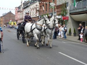 1_(1079).jpg