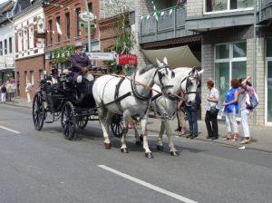 1_(1258).jpg