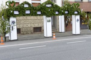 1_(228).jpg