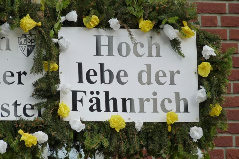 1_(253).jpg
