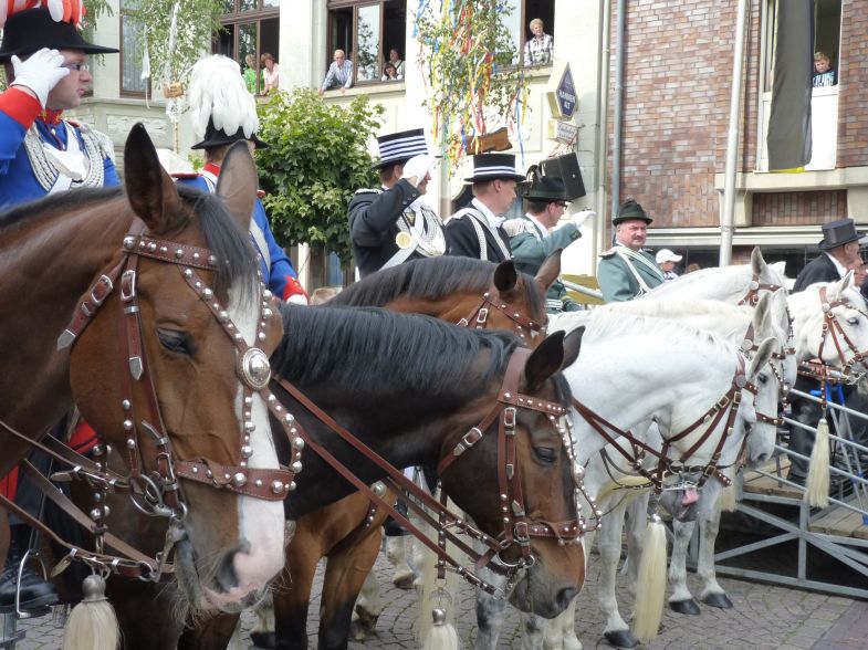 1_(356).jpg
