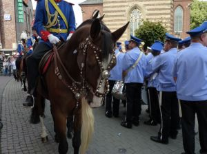 1_(432).jpg