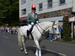 1_(227).jpg
