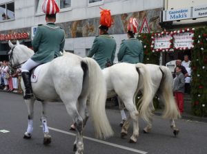 1_(372).jpg