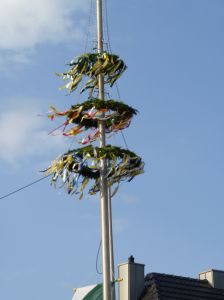 1_(542).jpg