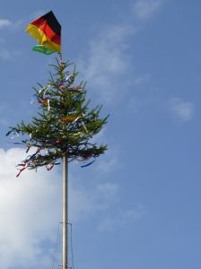 1_(543).jpg