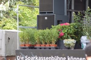 1_(264).jpg
