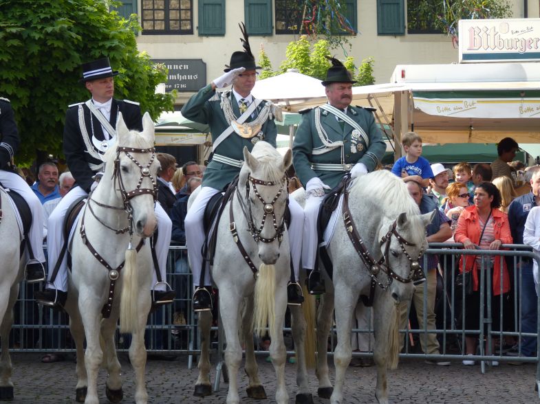 1_(473).jpg