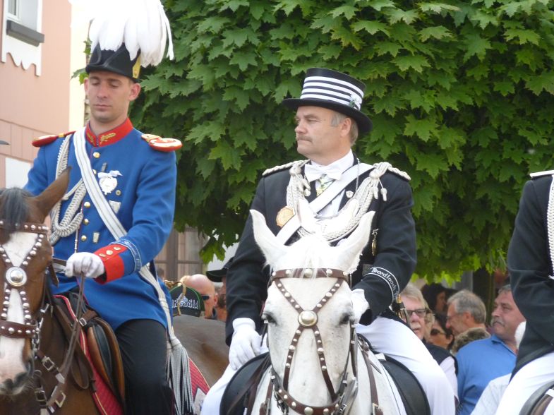 1_(480).jpg