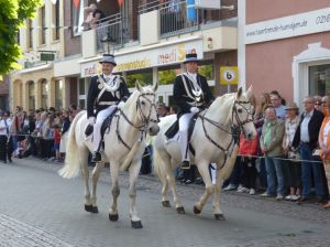 1_(350).jpg