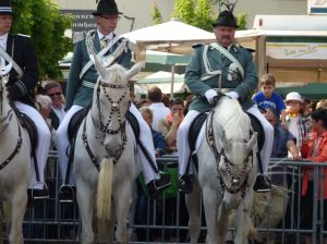 1_(484).jpg