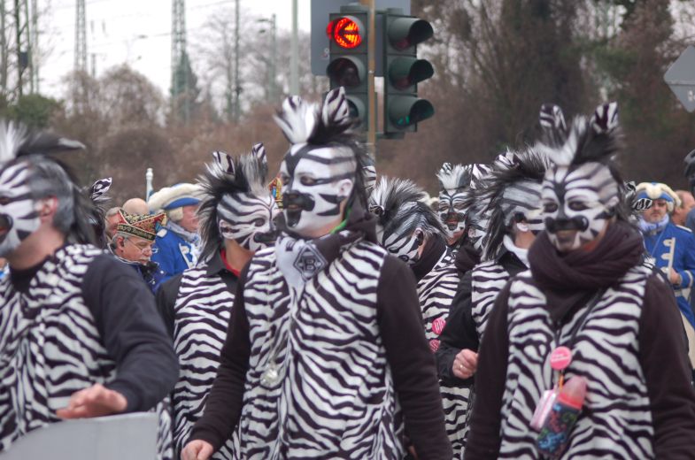 1_(330).jpg
