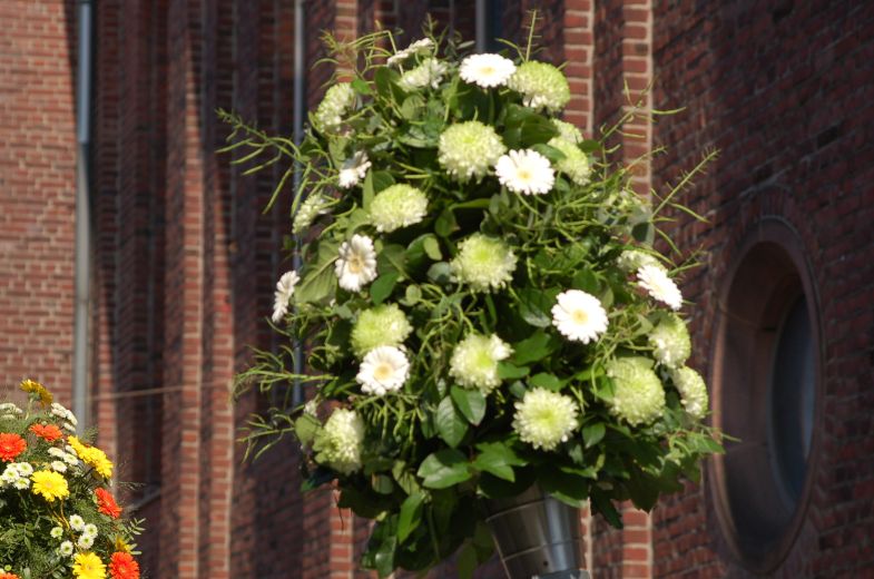 w1_(1114).jpg