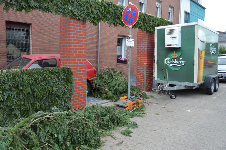 a1_(606).jpg