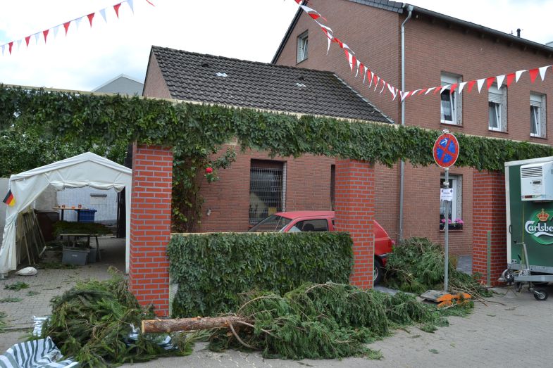 a1_(613).jpg