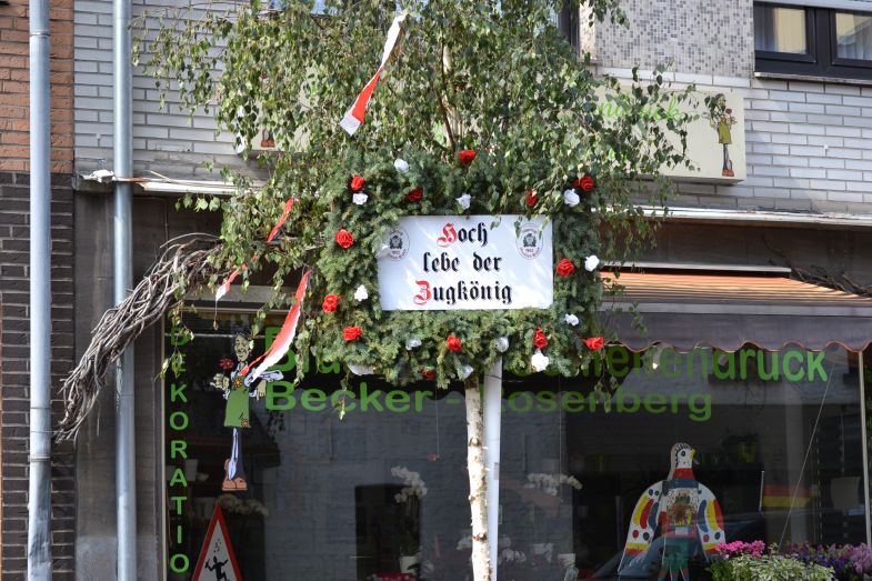 a1_(680).jpg
